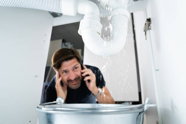 Best Plumbing Repair Near Me  in Kingston, IL